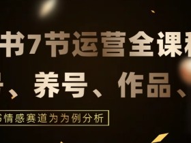 7节小红书运营实战教程：情感赛道最新玩法，快速打通运营全流程-54创业网