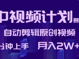 中视频计划暴力起号：3分钟学会自动剪辑原创视频，轻松月入2W+-54创业网