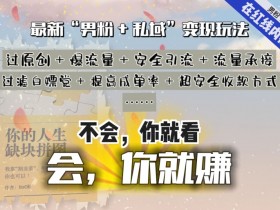 2024男粉私域变现：最耐造最赚最轻松愉快的赚钱方式揭秘-54创业网