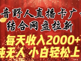 抖音野人直播卡广场：纯无人直播日赚2000+，网盘拉新小白轻松上手-54创业网