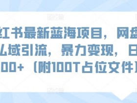 小红书网盘扩容项目：私域引流变现日赚1000+（附100T资源）-54创业网