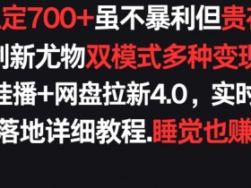 快手无人挂播+网盘拉新4.0：每天稳赚700+双模式变现，真实收益揭秘！-54创业网