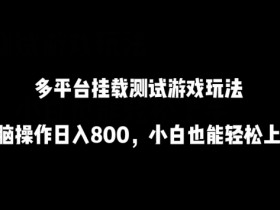 多平台挂载测试游戏玩法：无脑操作日入800，小白轻松上手赚钱秘籍-54创业网