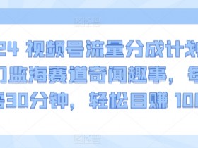 2024视频号赚钱攻略：冷门监海赛道奇闻趣事，每天30分钟轻松赚1000+-54创业网