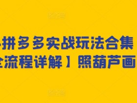 2024拼多多运营全攻略：0-1新手必学爆单技巧，照做就出单-54创业网