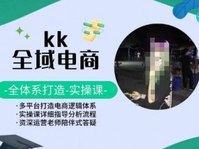KK全域电商实操课：多平台电商逻辑体系全攻略-54创业网