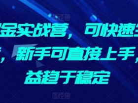 AI掘金实战营：新手快速上手AI写作，稳定收益攻略-54创业网