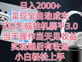 B站躺平3.0全自动赚钱：日入2000+无脑操作，当天见效睡后收益-54创业网