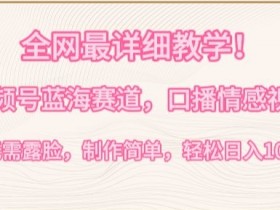 视频号口播情感视频赚钱秘籍：无需露脸日入1000+，蓝海赛道详细教学-54创业网