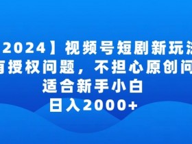 2024视频号短剧赚钱玩法：0授权无原创问题，新手小白日入2000+实操揭秘-54创业网