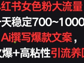 小红书女粉引流秘籍：AI爆款文案日吸700+精准客，粘性超高复购不断！-54创业网
