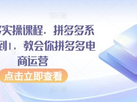拼多多电商运营实操课：0基础速成拼多多开店赚钱秘籍-54创业网
