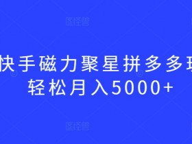快手磁力聚星赚钱攻略：拼多多玩法揭秘，轻松月入5000+-54创业网