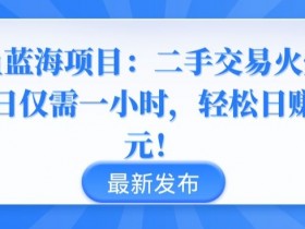 闲鱼蓝海项目揭秘：二手交易日赚千元，1小时轻松上手-54创业网