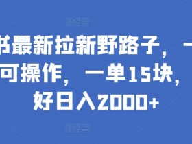 小红书拉新赚钱：一部手机日入2000+的野路子揭秘-54创业网