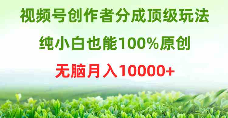 视频号赚钱：新手100%原创顶级玩法，无脑月入10000+-54创业网