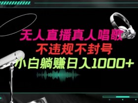抖音无人直播音乐：24小时不违规不封号，新手当天赚1000+音浪实操教程-54创业网