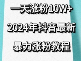 抖音涨粉10w+教程：暴力去重技巧揭秘，一天爆粉刷新认知-54创业网