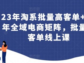 2024电商矩阵实战：23年淘系批量高客单技巧+全域运营秘籍-54创业网