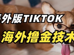 TikTok撸金技术揭秘：海外抖音赚钱风口，轻松月入过万-54创业网