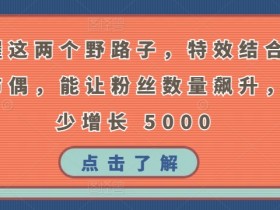 特效结合神奇布偶：2个野路子让粉丝暴涨5000+【实操揭秘】-54创业网