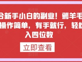 新手副业：小白薅羊毛躺赚日入1000+，简单操作有手就行！-54创业网