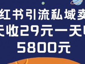 小红书壁纸赚钱攻略：0-1搭建教程，单日狂卖200张，29元/张轻松引流私域变现-54创业网