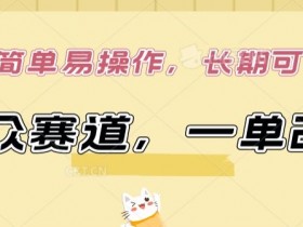 小众赛道副业：一单赚299元，简单易操作，长期稳定可做！-54创业网