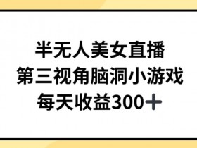 半无人美女直播赚钱：第三视角小游戏日赚300+秘诀大公开-54创业网