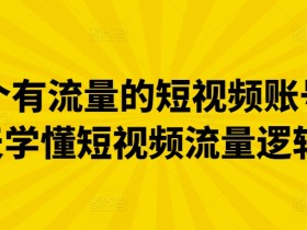 3天掌握短视频流量逻辑：快速打造高流量短视频账号秘籍-54创业网