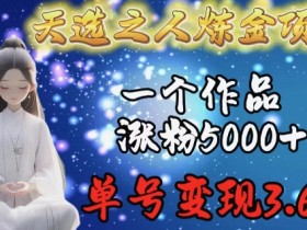 天选之人炼金项目：单号变现3.6w，1个作品涨粉5000+实战揭秘-54创业网