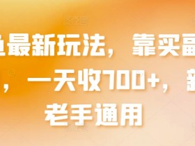 闲鱼副业赚钱：新手老手通用，日入700+最新玩法揭秘-54创业网