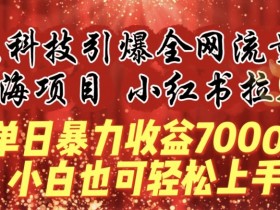 小红书拉新暴利项目：黑科技单日赚7000+，新手小白轻松上手实操-54创业网