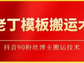 抖音90万粉丝搬运技术揭秘：老丁模板搬运术实战教程-54创业网