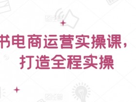 小红书电商运营教程：零基础实操课，手把手教你打造爆款店铺-54创业网
