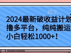 2024破收益计划：多平台搬运赚钱，小白轻松日入1000+【最新揭秘】-54创业网