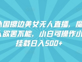快手无人直播赚钱秘籍：外国美女擦边直播日入500+，新手挂小铃铛轻松操作-54创业网