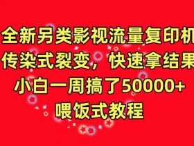影视流量复印机：传染式裂变7天赚5万+，新手喂饭教程大揭秘-54创业网