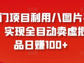 冷门项目：8图平台全自动卖虚拟产品日赚100+揭秘-54创业网