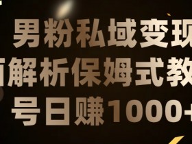 男粉私域变现项目：LSP流量日引200+，长期稳定日赚1000+实战揭秘-54创业网