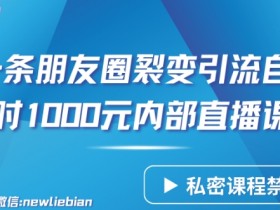 2小时赚1000元：朋友圈裂变引流自动成交直播课揭秘-54创业网