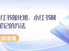 小红书爆款笔记秘籍：水水强化班教你制作高流量内容-54创业网