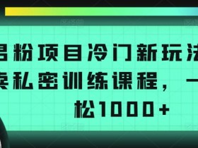冷门男粉项目：私密训练课程日赚1000+实操揭秘-54创业网
