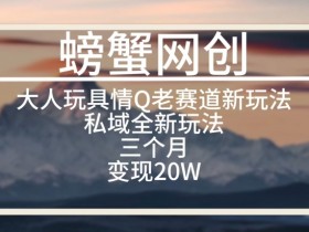 成人玩具私域变现新玩法：3个月赚20万的老项目创新思路大揭秘-54创业网