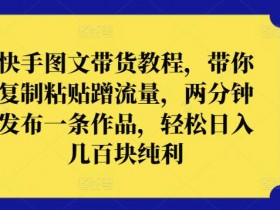 快手带货赚钱教程：2分钟图文带货日赚几百，复制粘贴蹭流量技巧大揭秘-54创业网