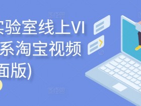 淘宝电商运营视频课：电商实验室VIP全面版，手把手教你玩转淘系-54创业网