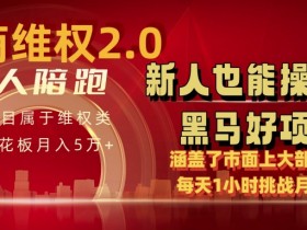 电商维权4.0：新人1小时日赚500+，月入5万实操秘籍大公开-54创业网
