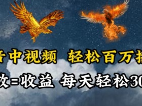 抖音中视频百万播放秘诀：每天轻松赚两三百，有播放就有收益！-54创业网