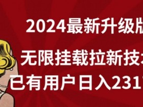 2024无限挂载拉新赚钱技术：日入2317元实操教程【全网首发】-54创业网