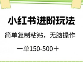 小红书赚钱攻略：小白轻松日赚500+的复制粘贴进阶玩法-54创业网